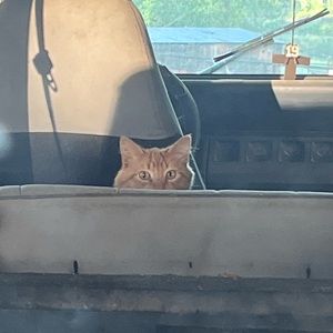 Meet your Posher, Aidan